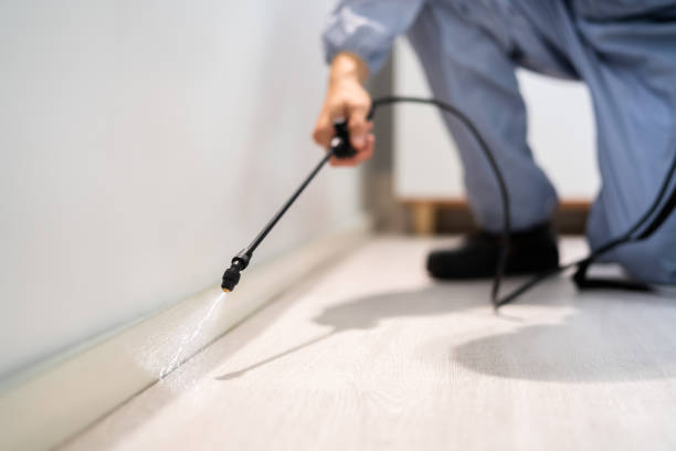 Certified termite inspector examining foundation in Hillsboro