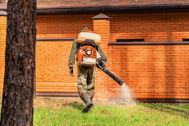Bed Bug Clearance Verification and Documentation in Hillsboro
